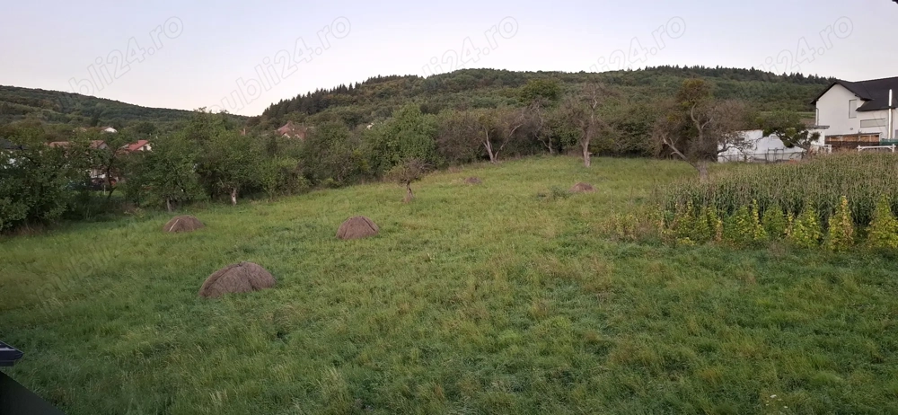 Vând teren Valcele Cluj