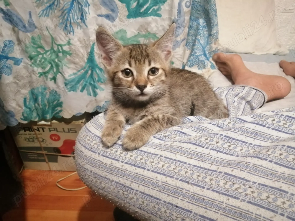 Aventura incepe cu un camin...!