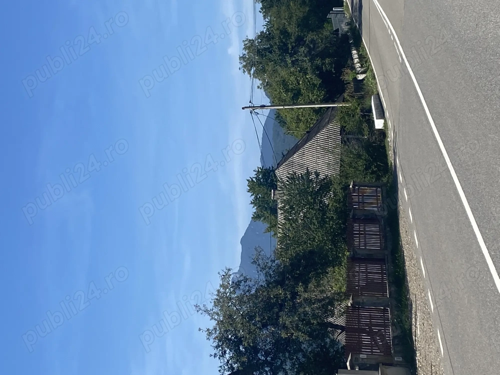 Teren de vânzare Buhalnita