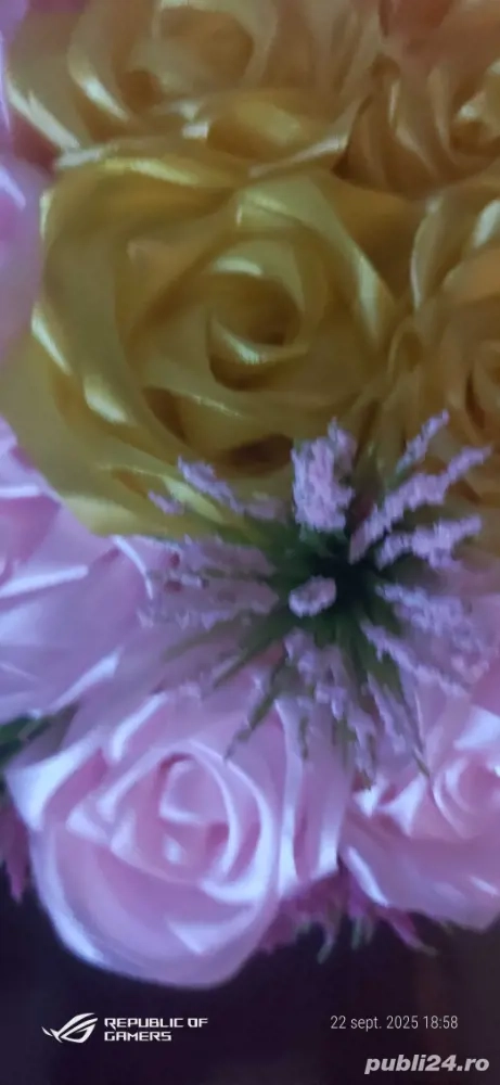 îngrijesc persoana in vârstă 