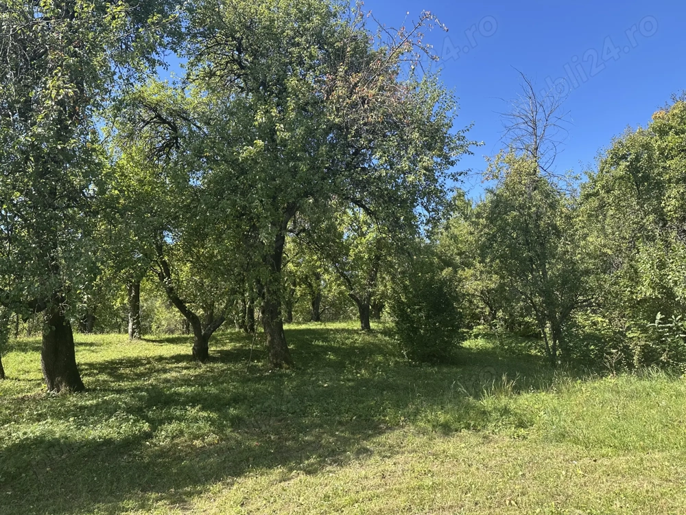 Vand casa cu teren intravilan 