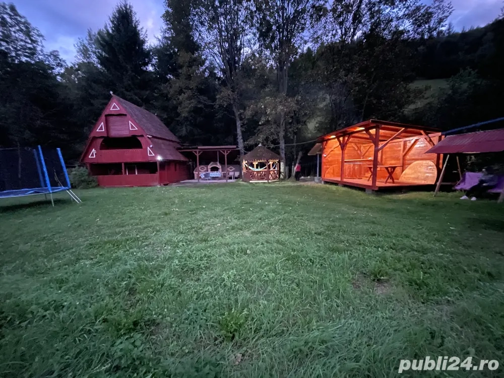 Cabana Trei Paltini  Cabana Trei Paltini