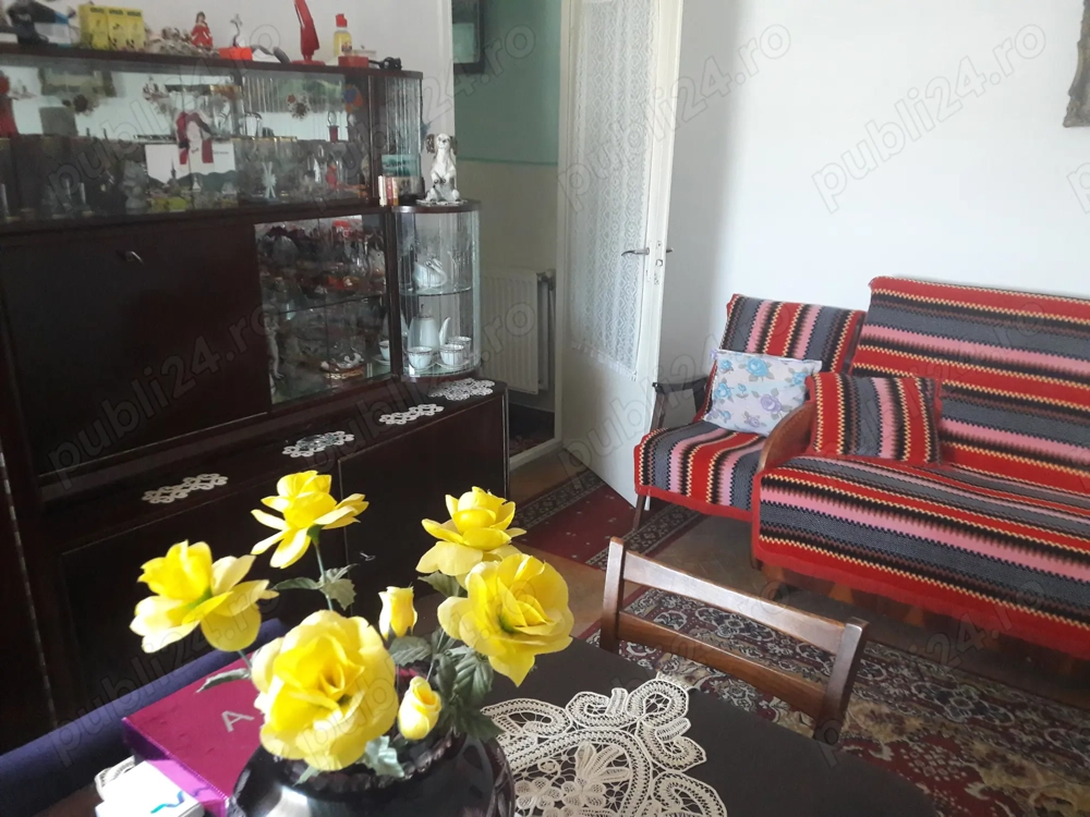 Apartament micro 1