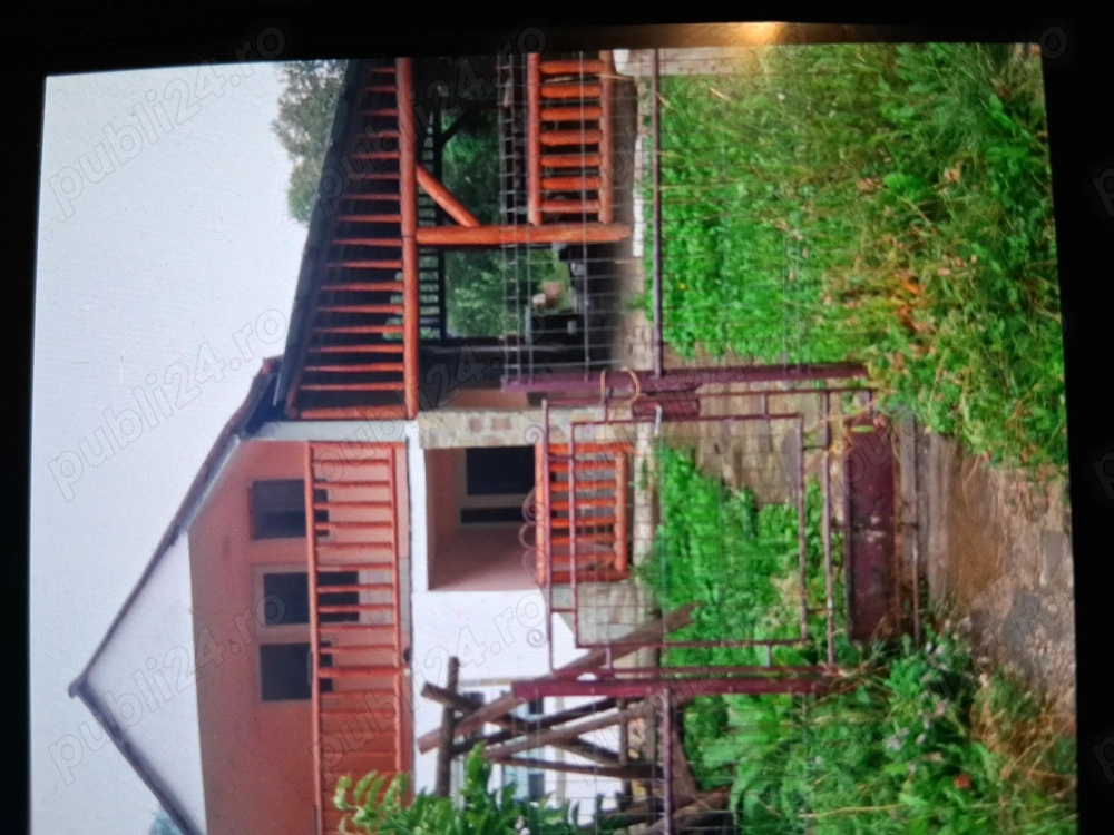 Cabana la munte tarcau