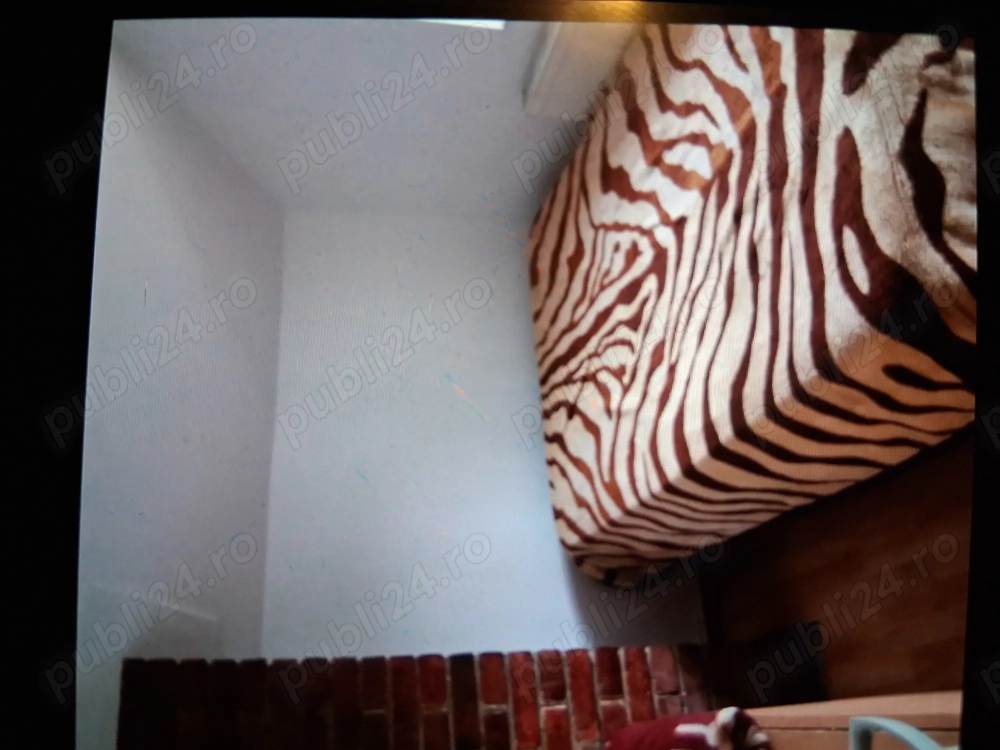 Cabana la munte tarcau Cabana la munte tarcau