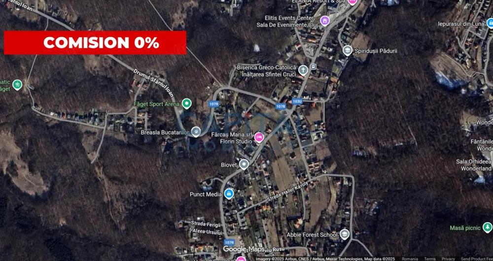 Teren de vânzare în Făget – 800 mp, front stradal generos de 19 m