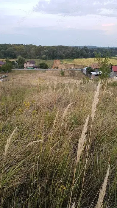 Vând terenuri intravilane, extravilane și păduri   comuna Fârtățești, județul Vâlcea