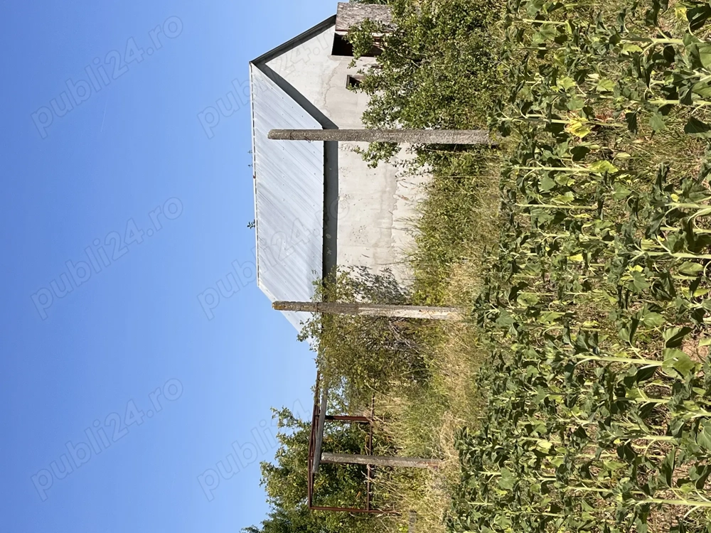 De vânzare teren în comuna Pișchia sat Bencecul de Jos