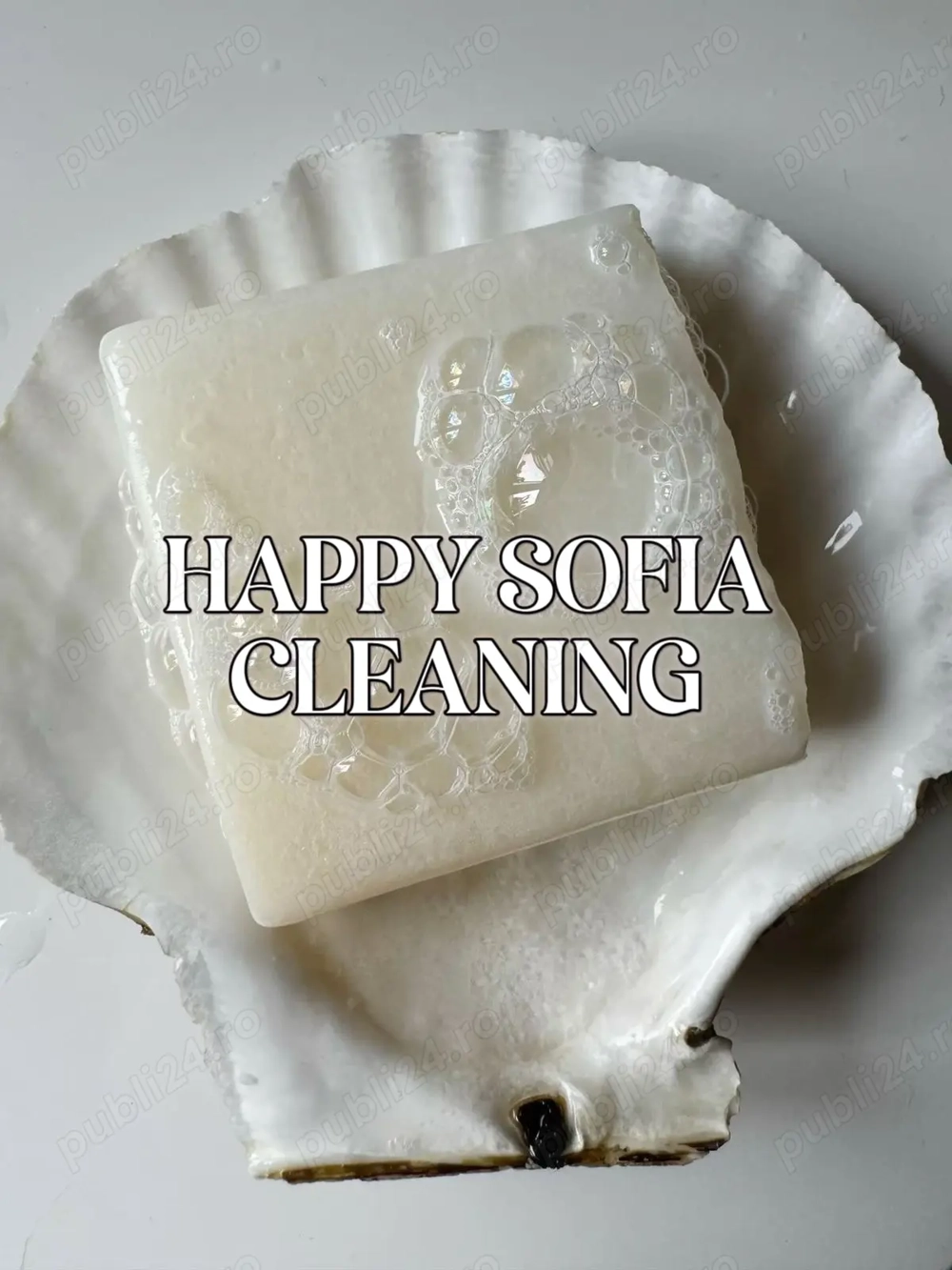 Firma de curatenie Happy Sofia cleaning- angajeaza Firma de curatenie Happy Sofia cleaning- angajeaza
