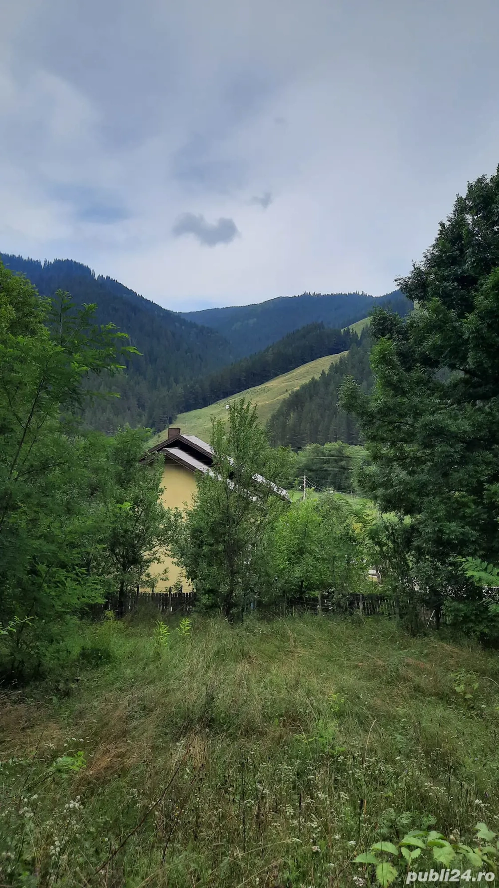 teren Savinesti,  jud. Neamt, com Poiana Teiului