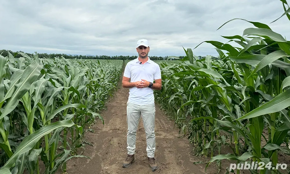 Angajam Inginer Agronom Angajam Inginer Agronom