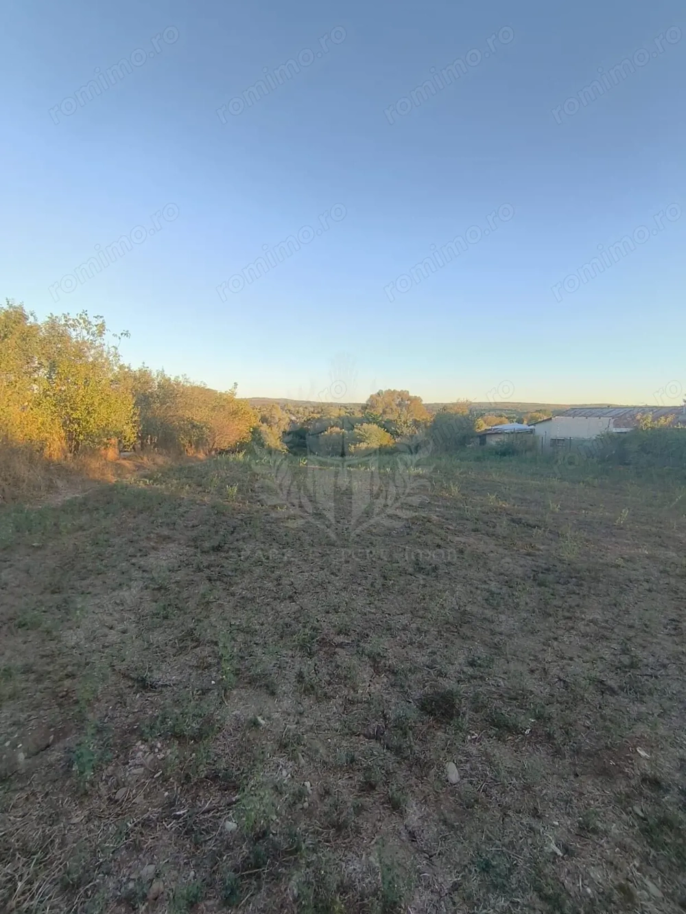 TEREN INTRAVILAN  PLOPU//3000 MP