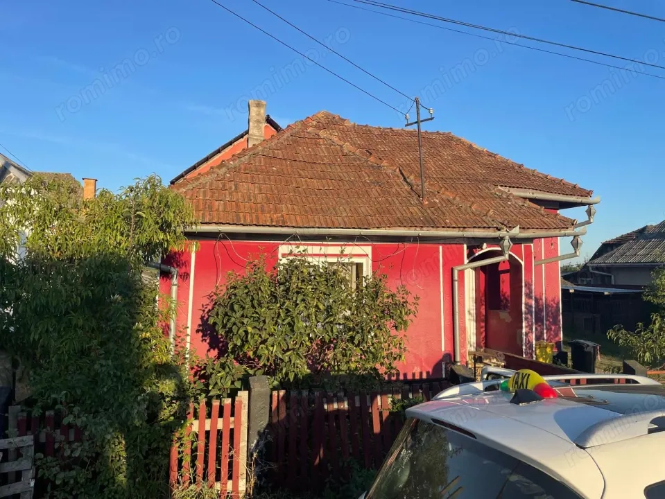 Investitie pentru liniste si oaza de verdeata Investitie pentru liniste si oaza de verdeata