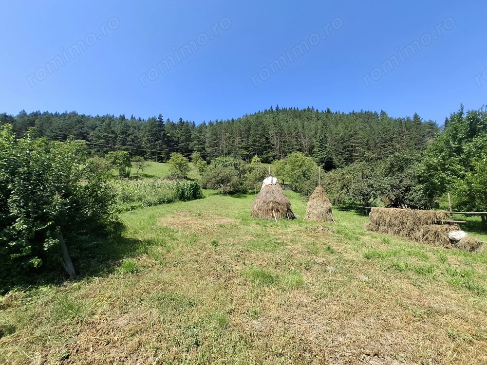  Se vinde proprietate la munte 7594mp