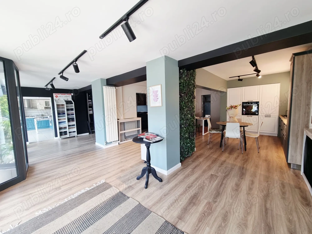 Spatiu comercial stradal zona Masnita- 2 Babe st 116 mp