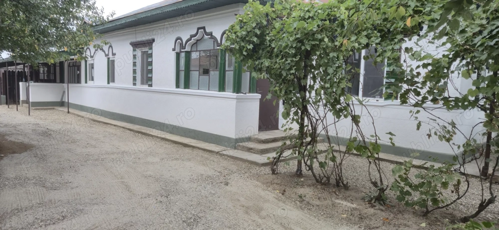 Vand casa in Hobaia, Ogrezeni județ Giurgiu 