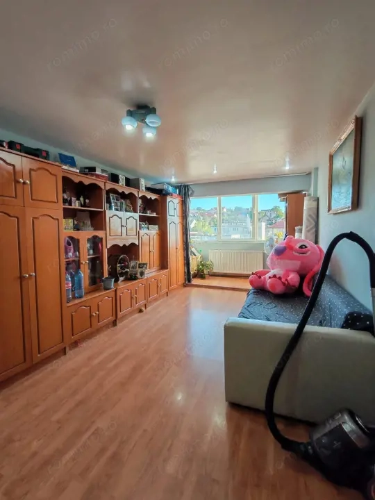 Apartament 2 camere Baia Sprie, decomandat, zona lidl, vedere panoramica Apartament 2 camere Baia Sprie, decomandat, zona lidl, vedere panoramica