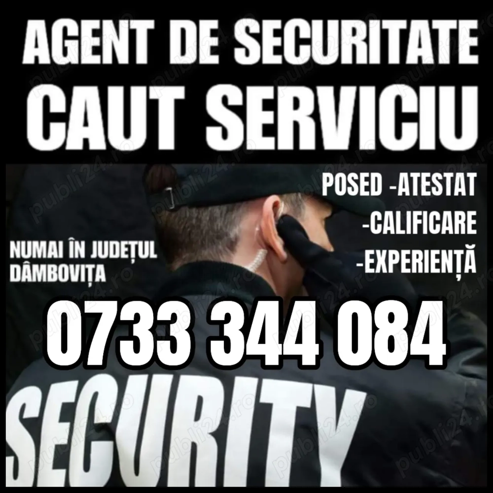 Agent de securitate  Agent de securitate
