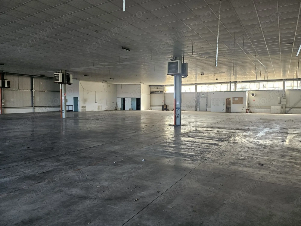 Hala Calea Lugojului 1400 mp 6000 euro