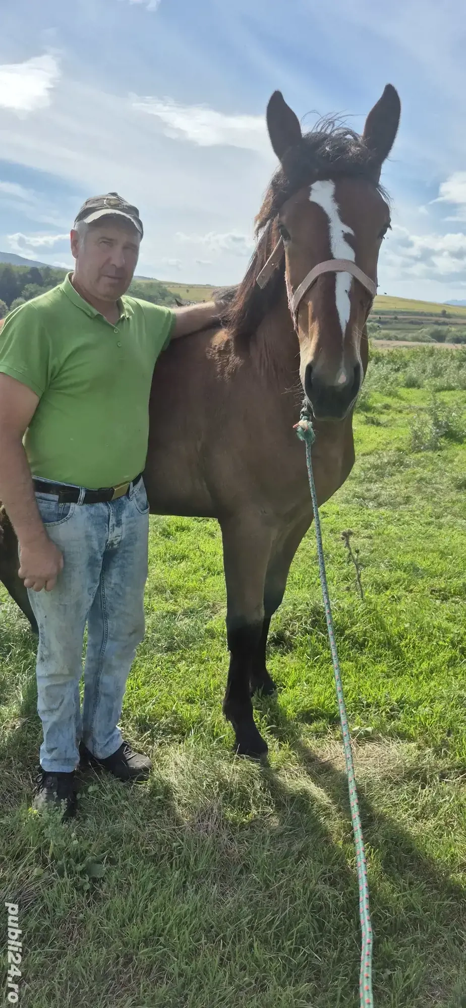 Vând mânz deosebit 