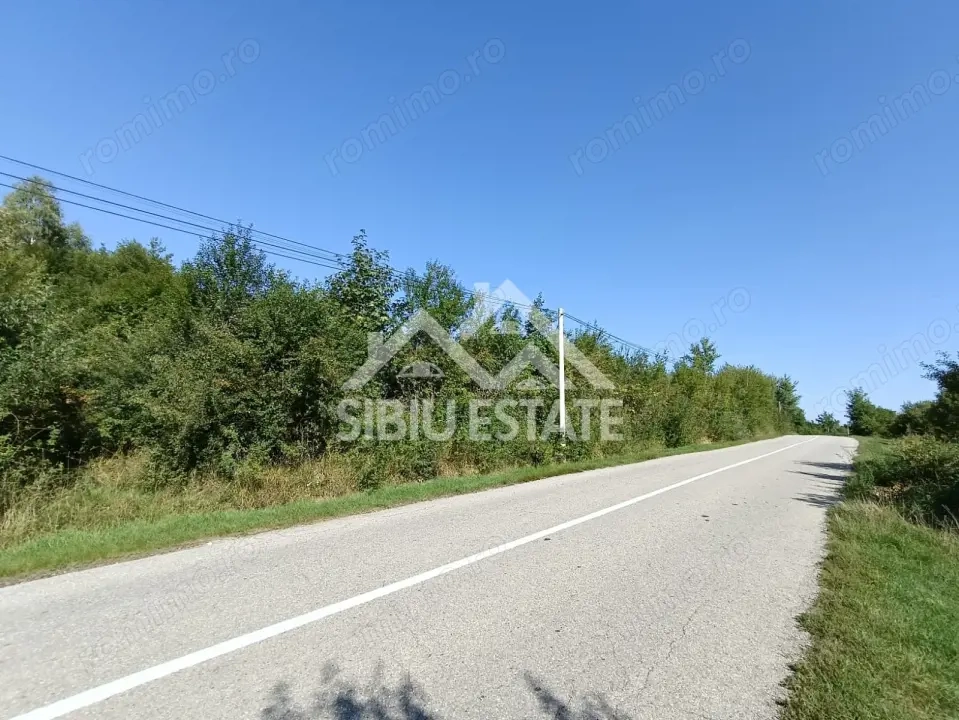 Teren  construibil ,la sosea, intre Vale si Sibiel, zona cu potential