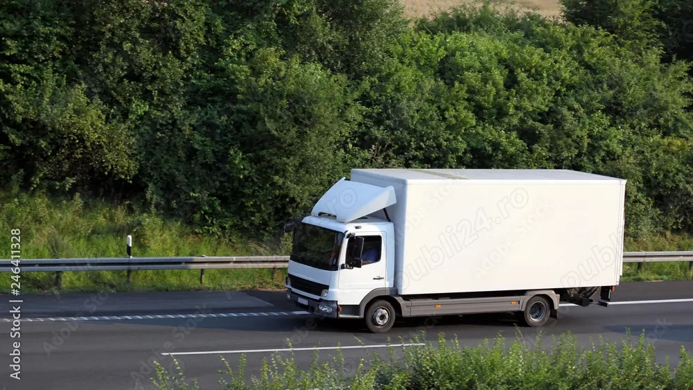 Caut sofer pentru camion pe  Germania