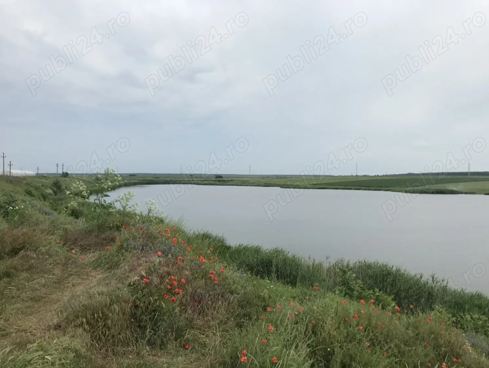 Teren intravilan 800 mp- Fundeni, Călărași, aproape de lac, aproape de București, asfalt, utilități 