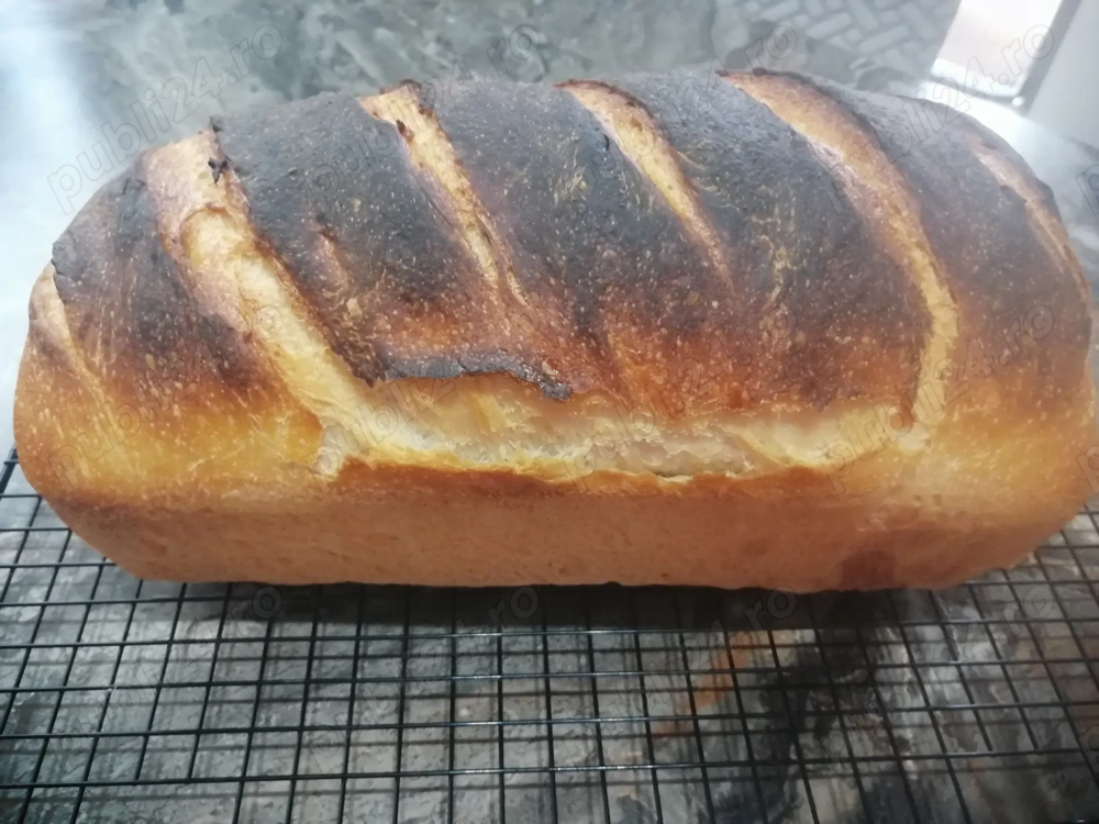 Vând maia naturala pentru pâine, cozonac și aluaturi dospite