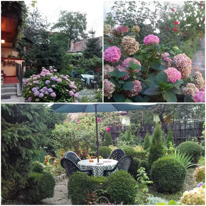 Ofer chirie locuri de cazare pentru băieţi (studenți sau masteranzi) pret promotional