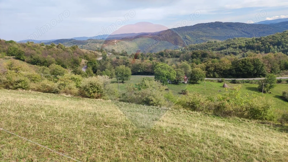 Teren constructii si faneata/livada 3082 mp Damis Bratca drum DJ 764D