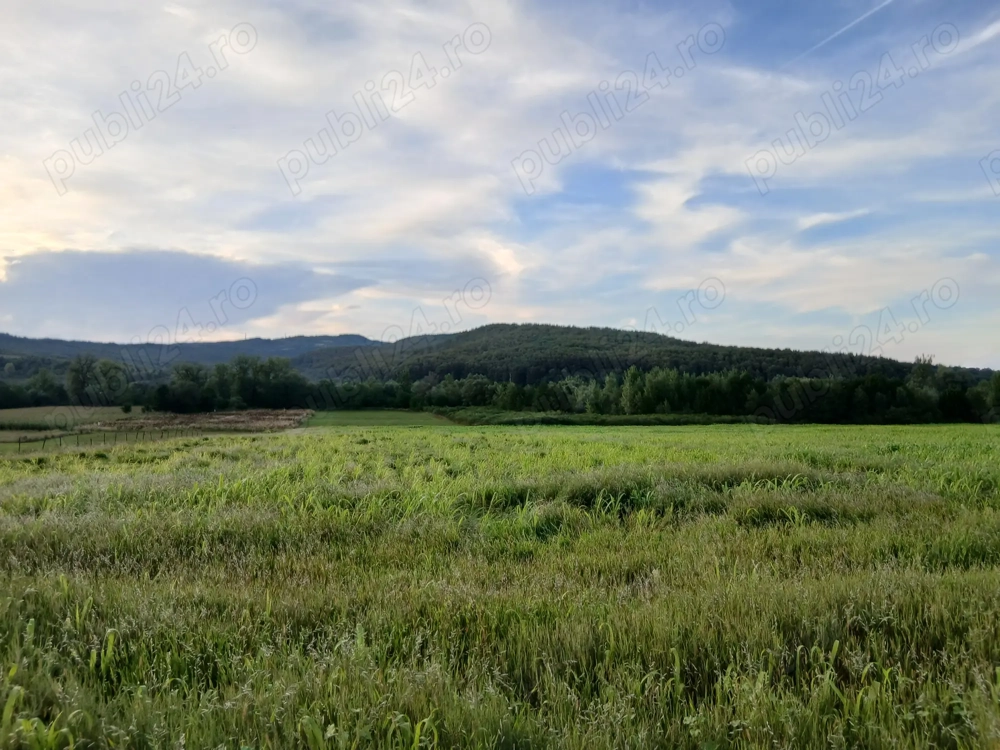 Teren extravilan in localitatea Lupoaia, Salaj