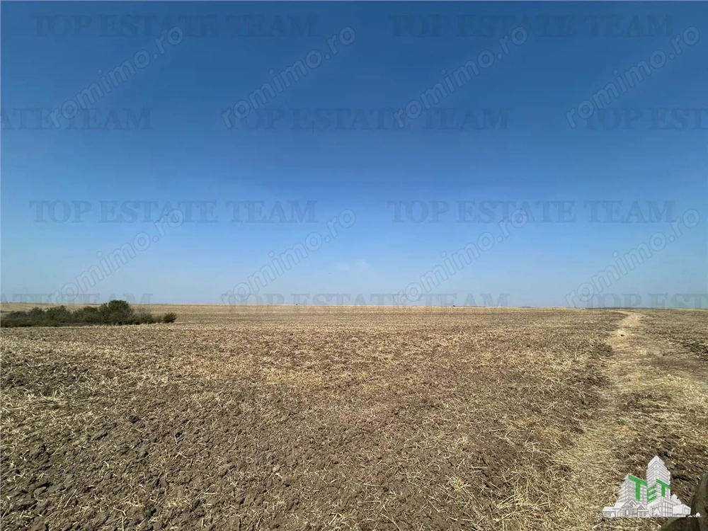 Teren extravilan, arabil, de 4200mp,in imediata apropiere de Craiova, in localitatea Simnicu de Sus,