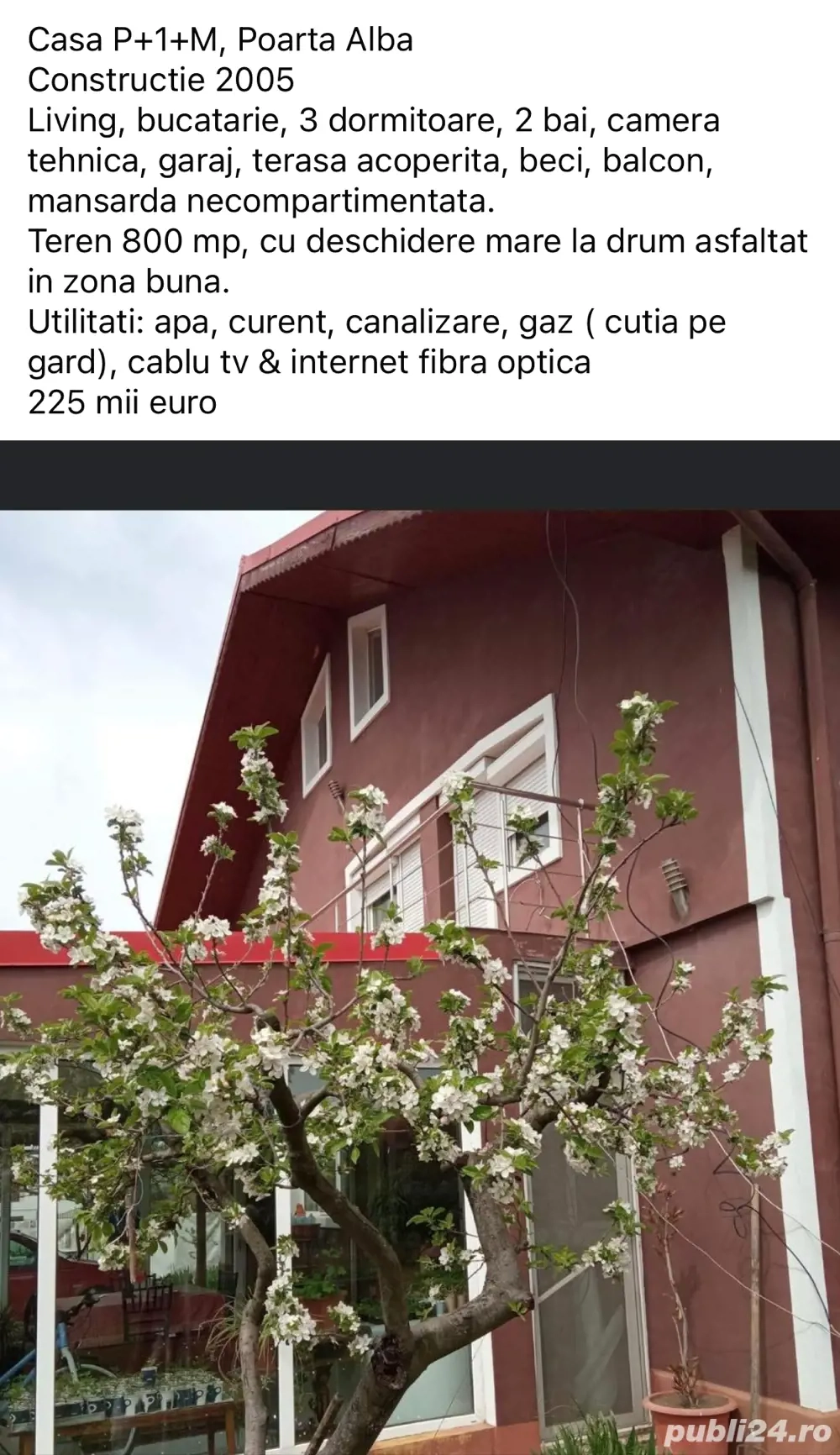 Casa P+1+M, Poarta Alba