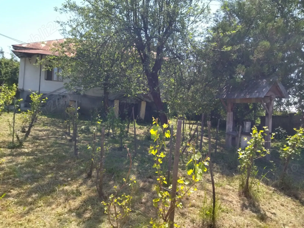 Vând casa batraneasca cu anexe si teren generos