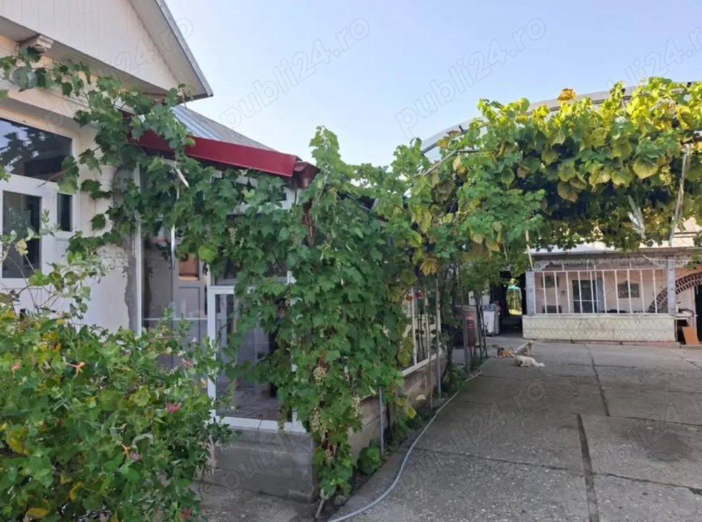 Gospodărie superbă cu 3 dormitoare 2 băi si gradina