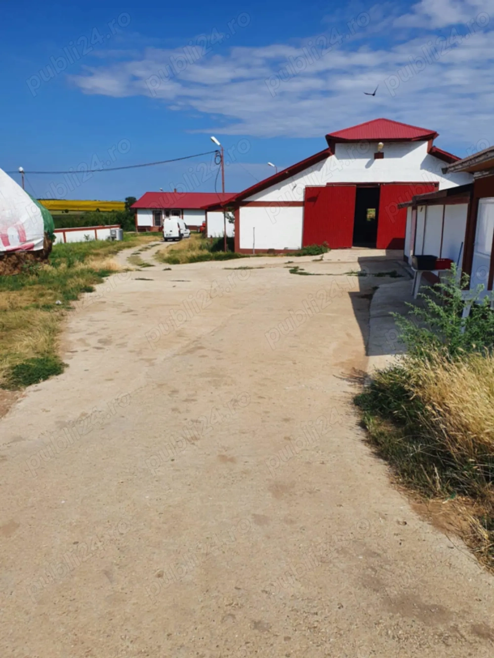 Vând fermă zootehnică utilată, 1000 m  construiți, comuna Dulceanca, sat Vedea   Teleorman Vând fermă zootehnică utilată, 1000 m  construiți, comuna Dulceanca, sat Vedea   Teleorman