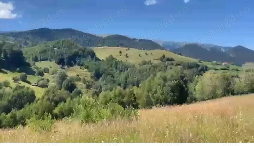 Teren extravilan 46.050 mp, Sat Șirnea, Comuna Fundata!