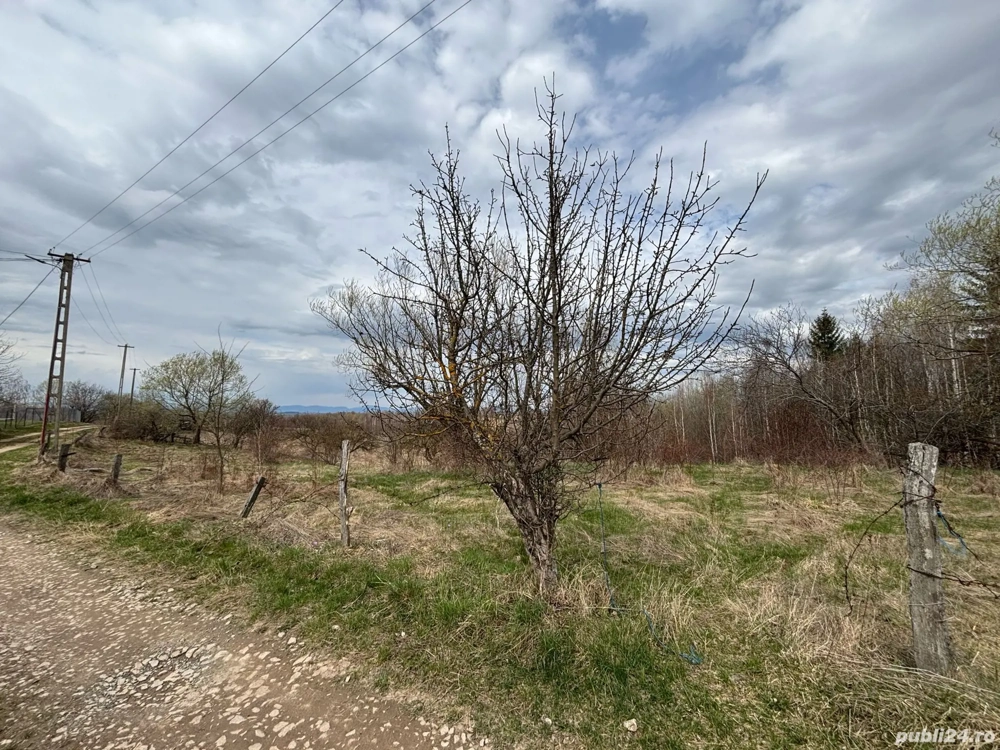 Vând teren in Mărcești, Râșca