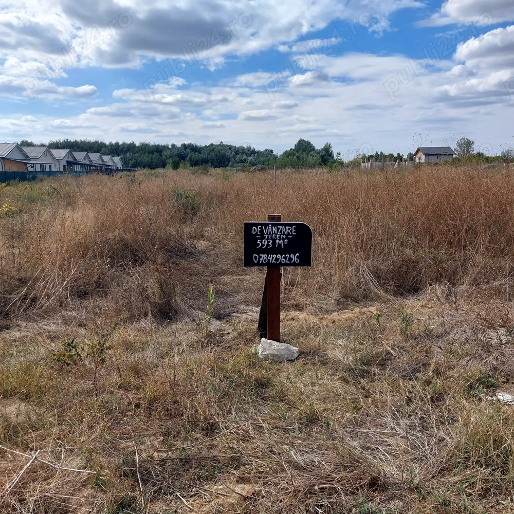 Vand teren intravilan Domnesti