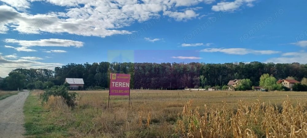 Gulia teren 11.157 mp, lângă Pădurea Cereanca