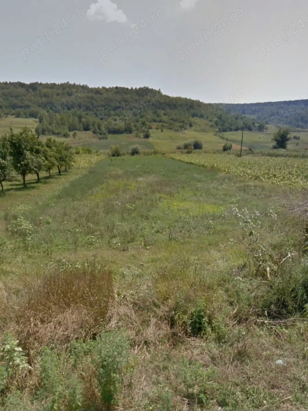 Vând teren intravilan + extravilan   Breznița Motru, Mehedinți