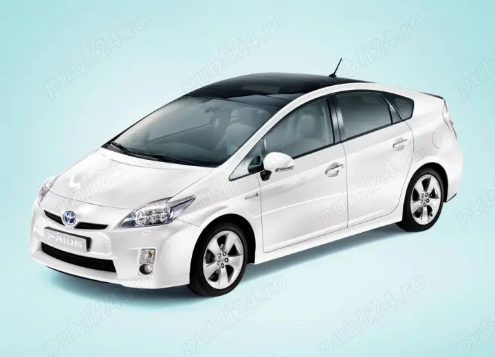 Curse programate copii și adulți București și tara