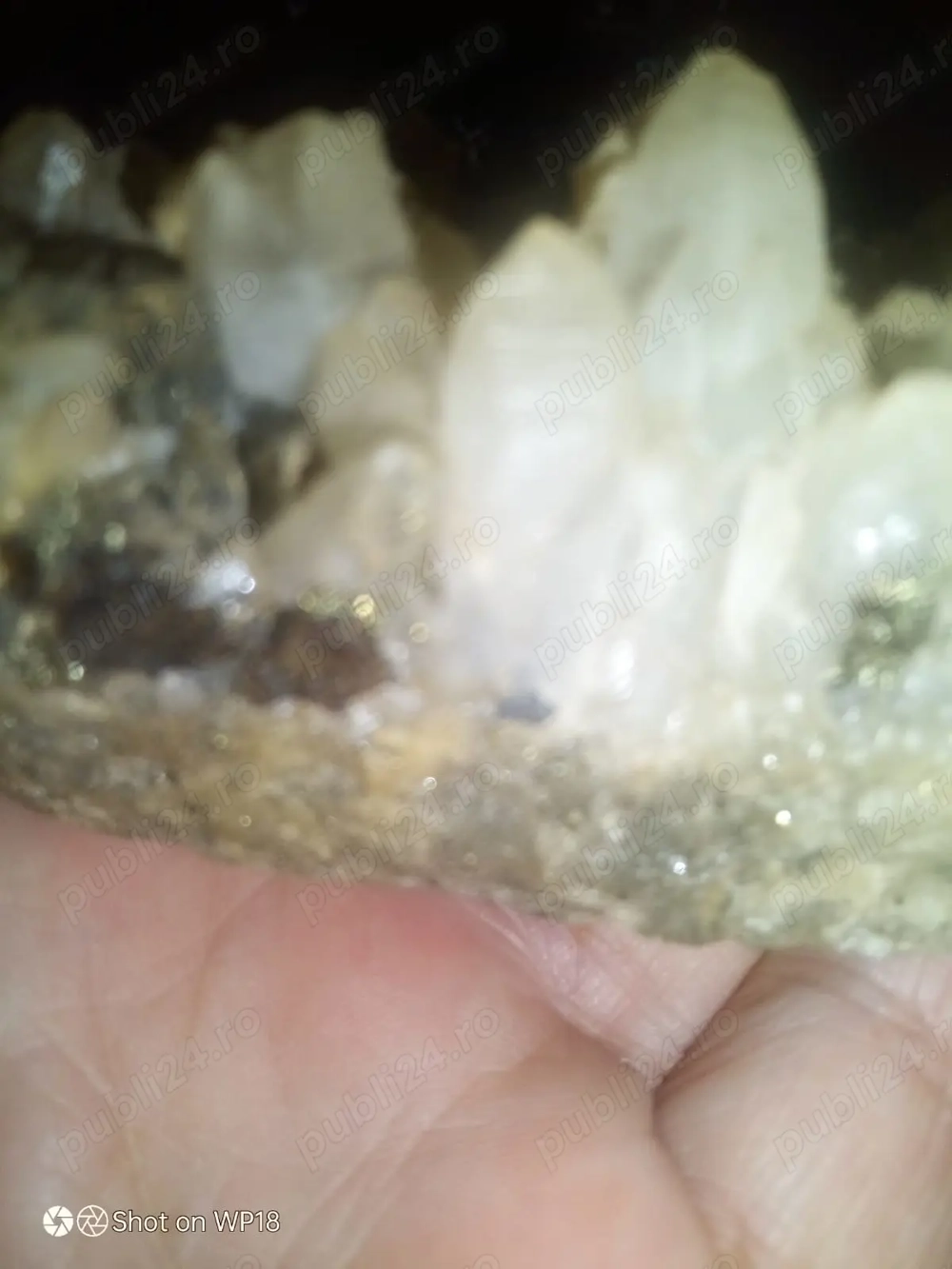 Specimen Aurifer de Mina