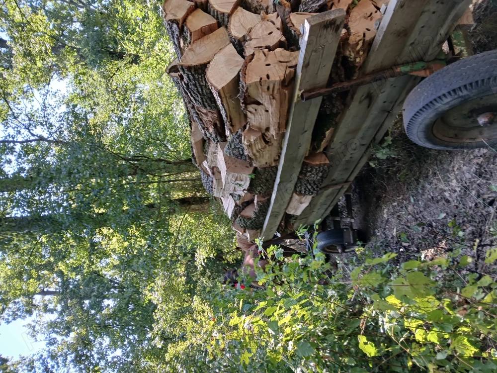 Lemne de foc de vânzare 