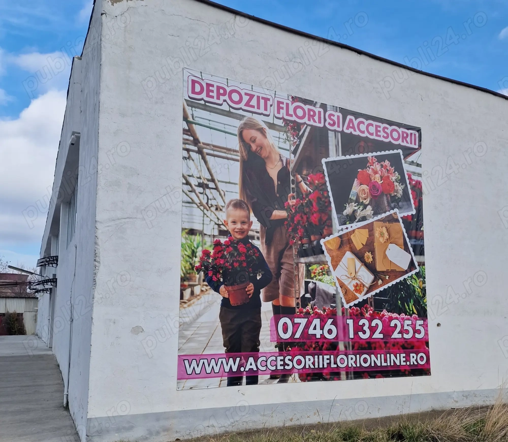 Angajam personal pentru Depozit flori Iași 