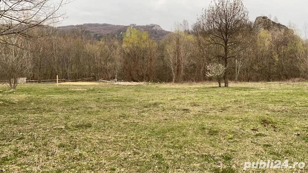 Teren intravilant Petros Baru Mare