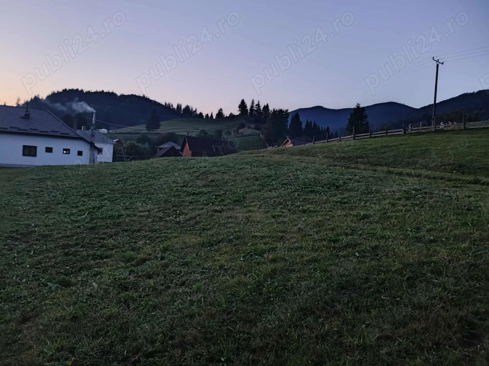 Teren vânzare colibita Teren vânzare colibita