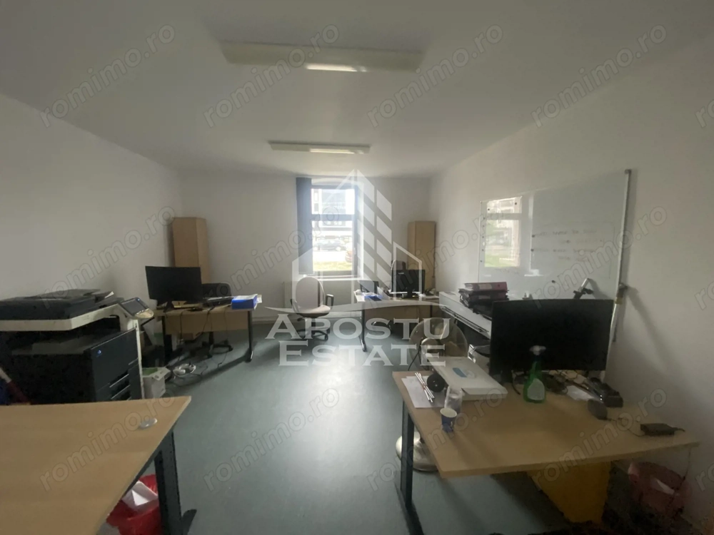 Casa în Dumbrăvița cu teren de 3039 mp și Front Stradal de 40 ml