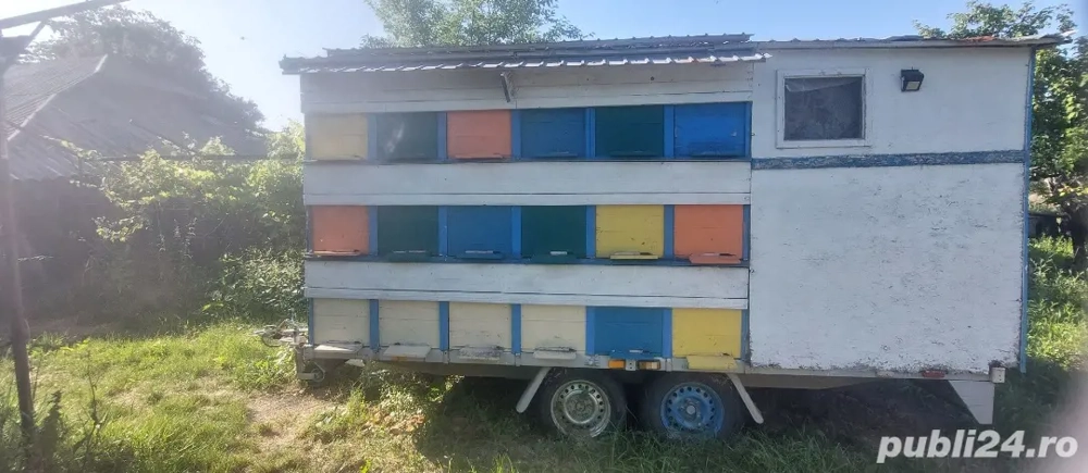 Vând pavilion apicol, 36 stupi.