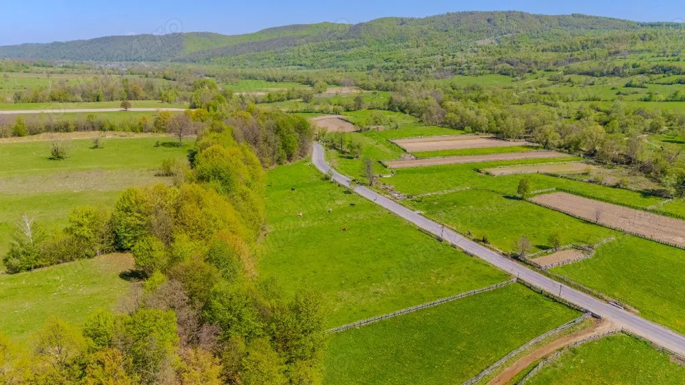 Comision 0%, teren 900 mp, Sinca Noua